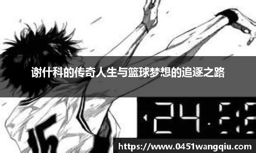 谢什科的传奇人生与篮球梦想的追逐之路